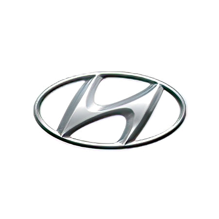 HYUNDAI H100