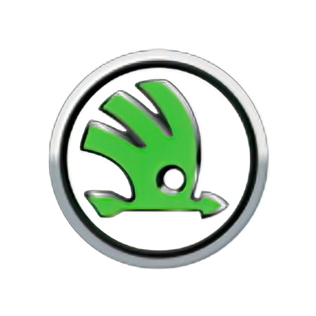 SKODA 100