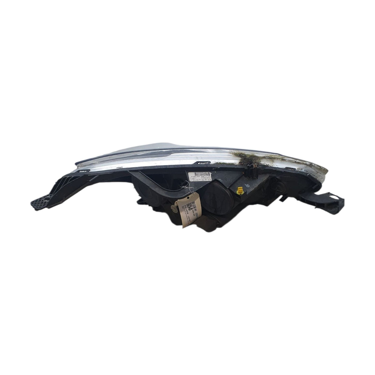 Image #2