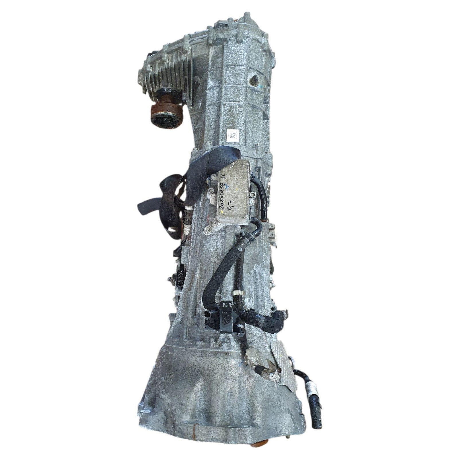 Image #3