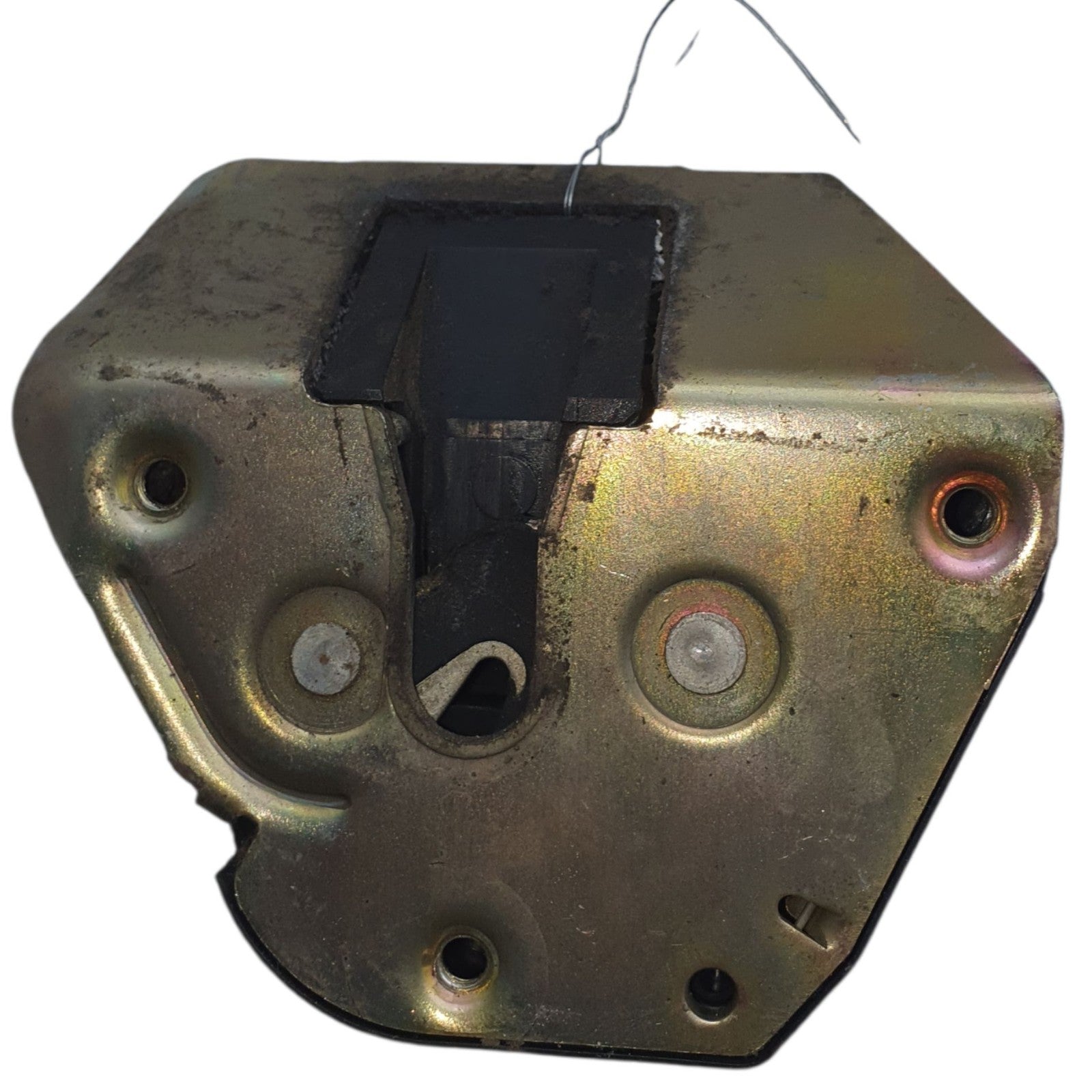 Image #2