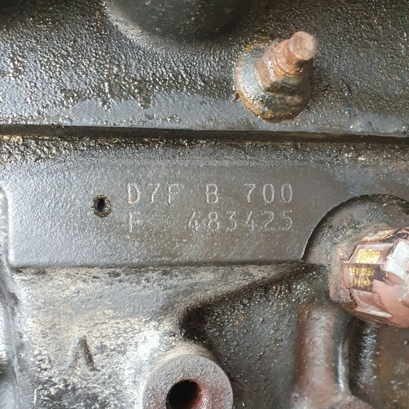 Image #6
