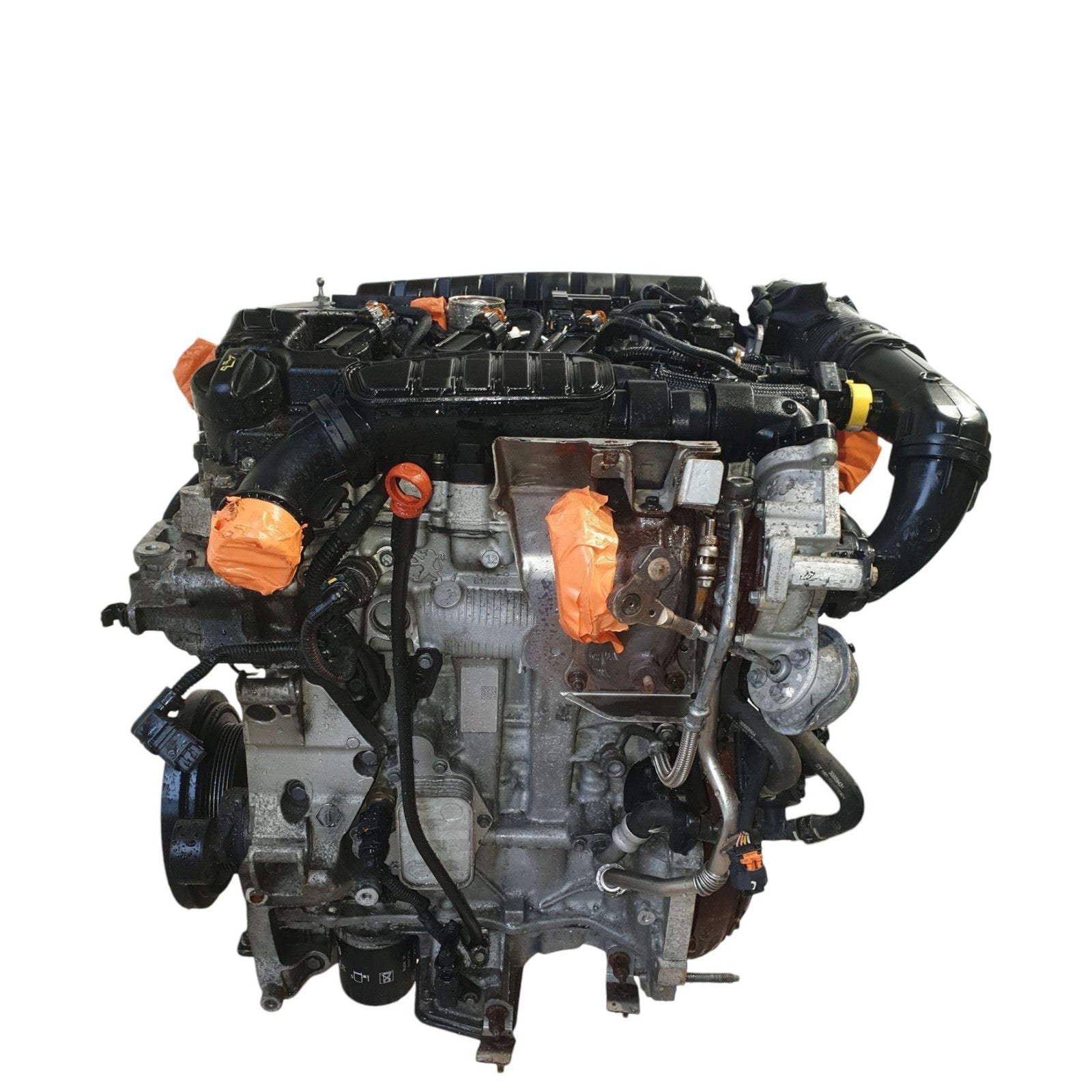 Image #3