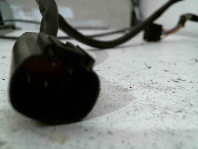 Image #7