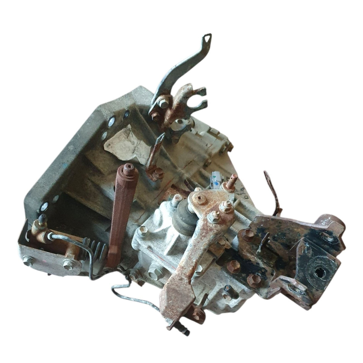 Image #2