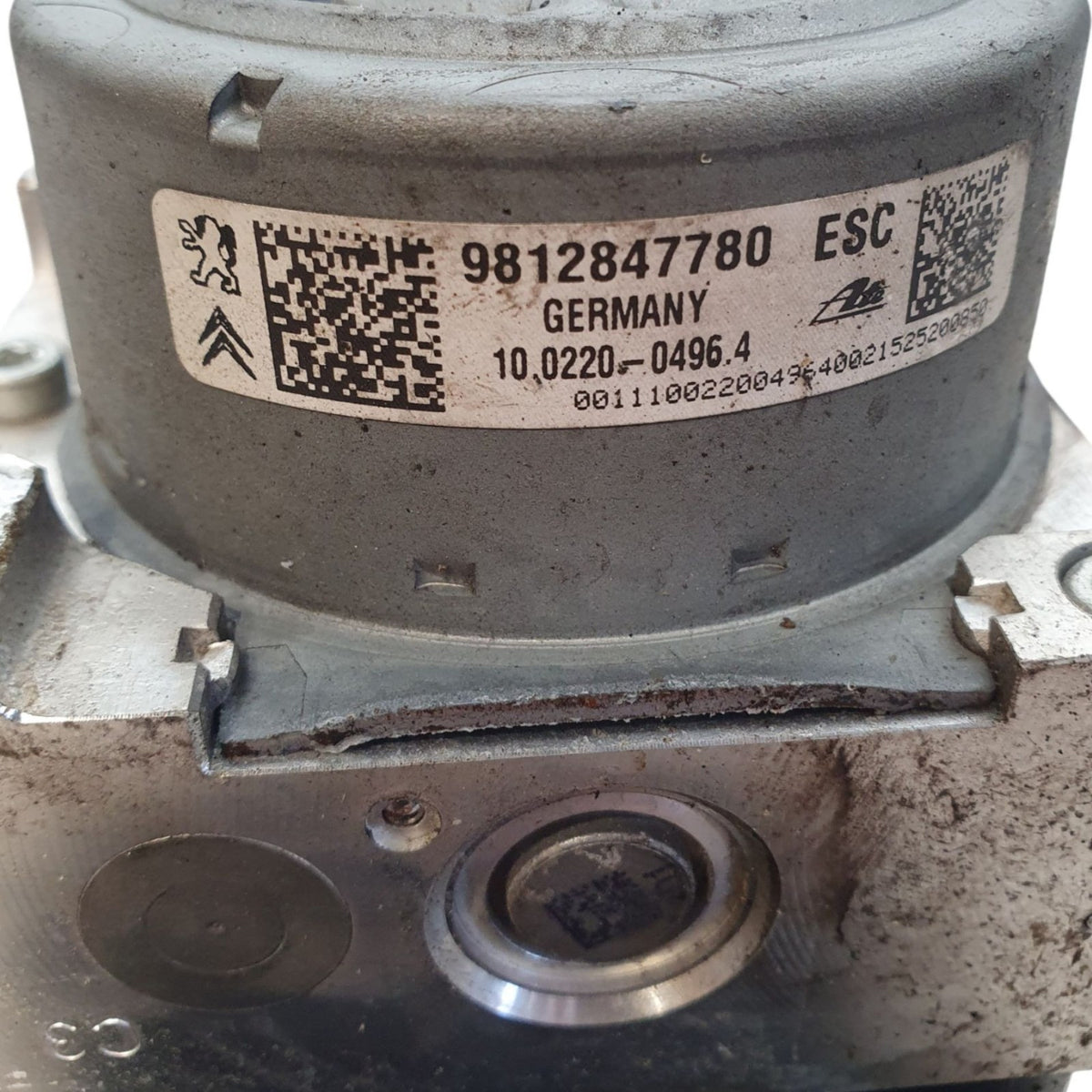 Image #4