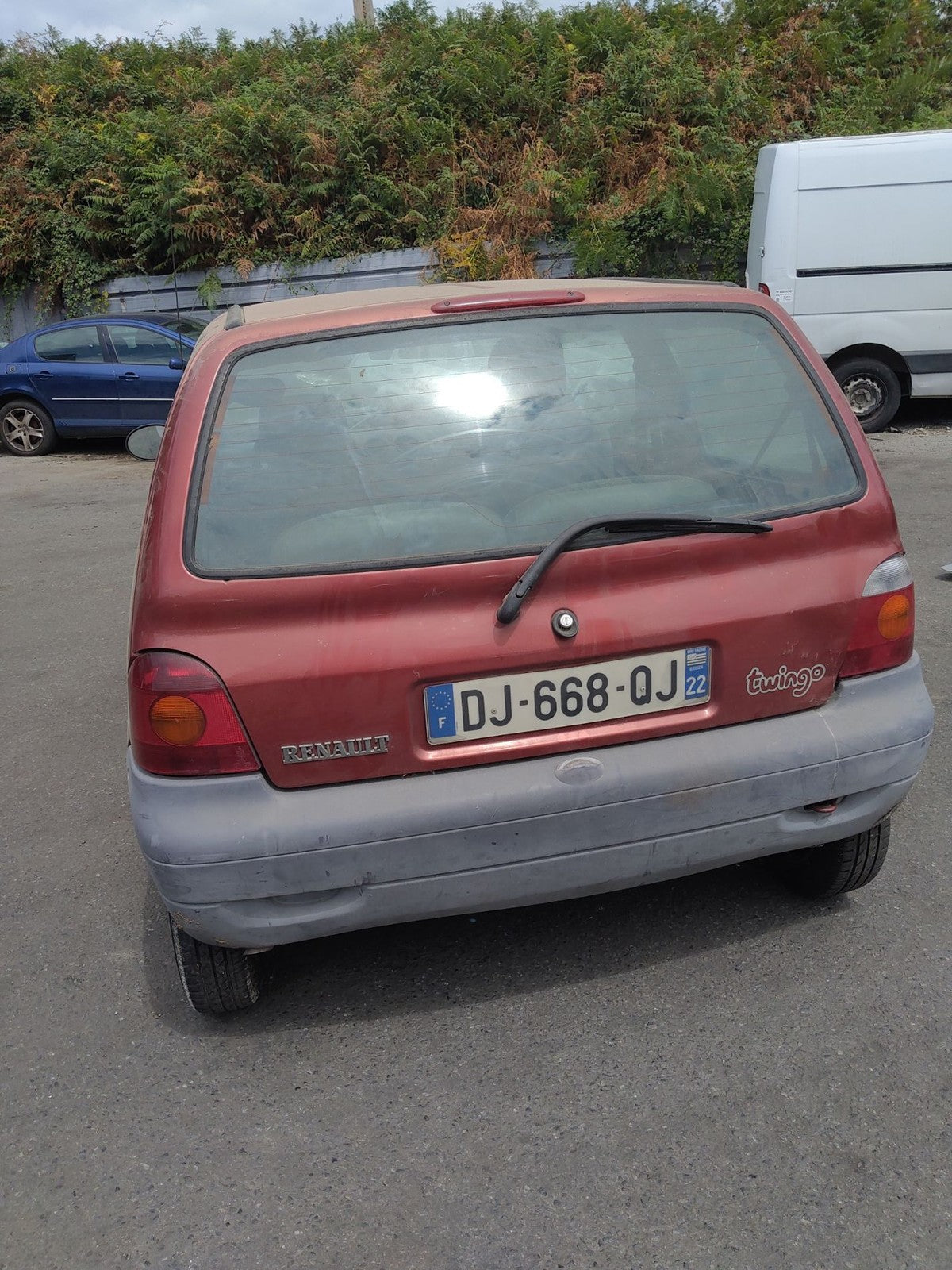 Image #3