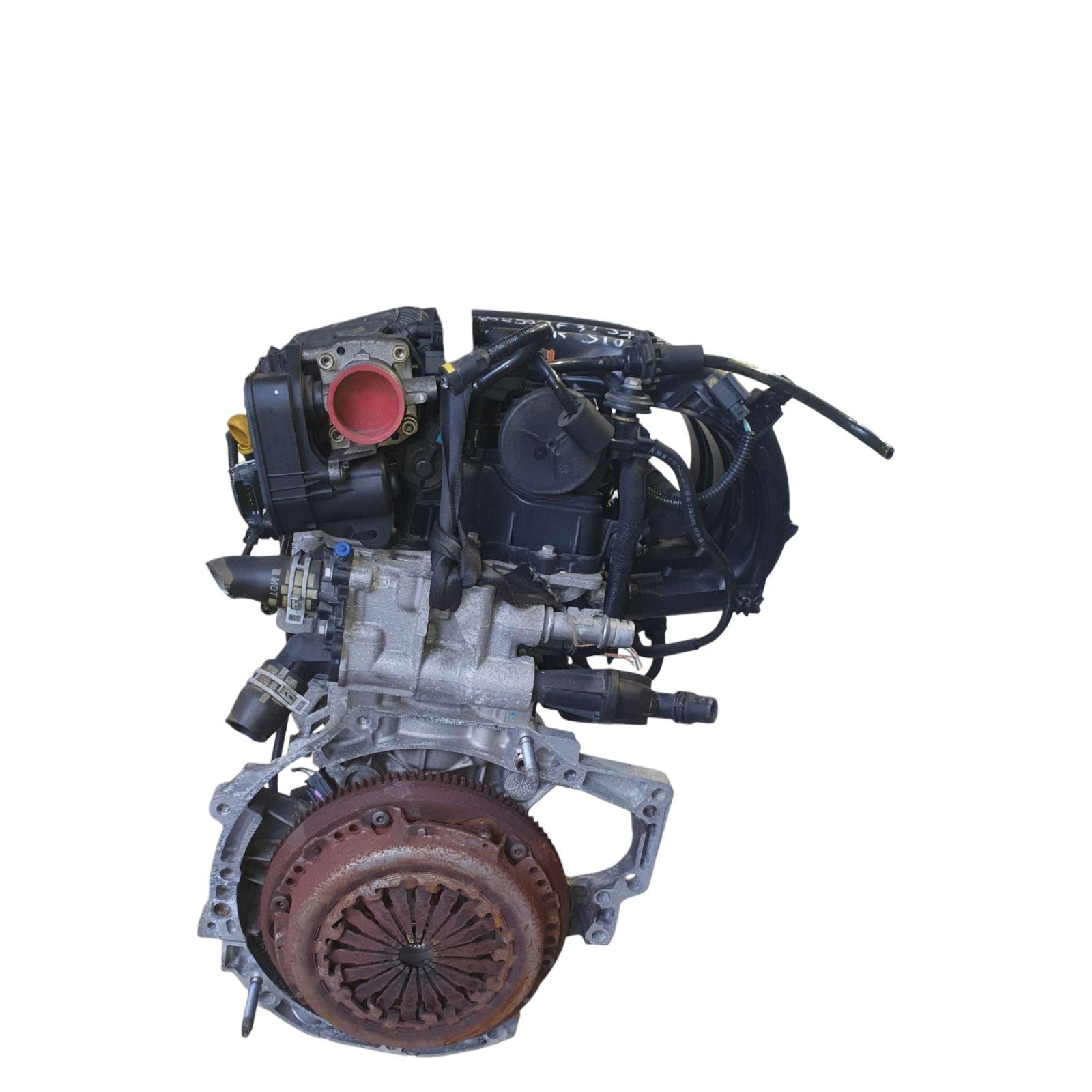 Image #2