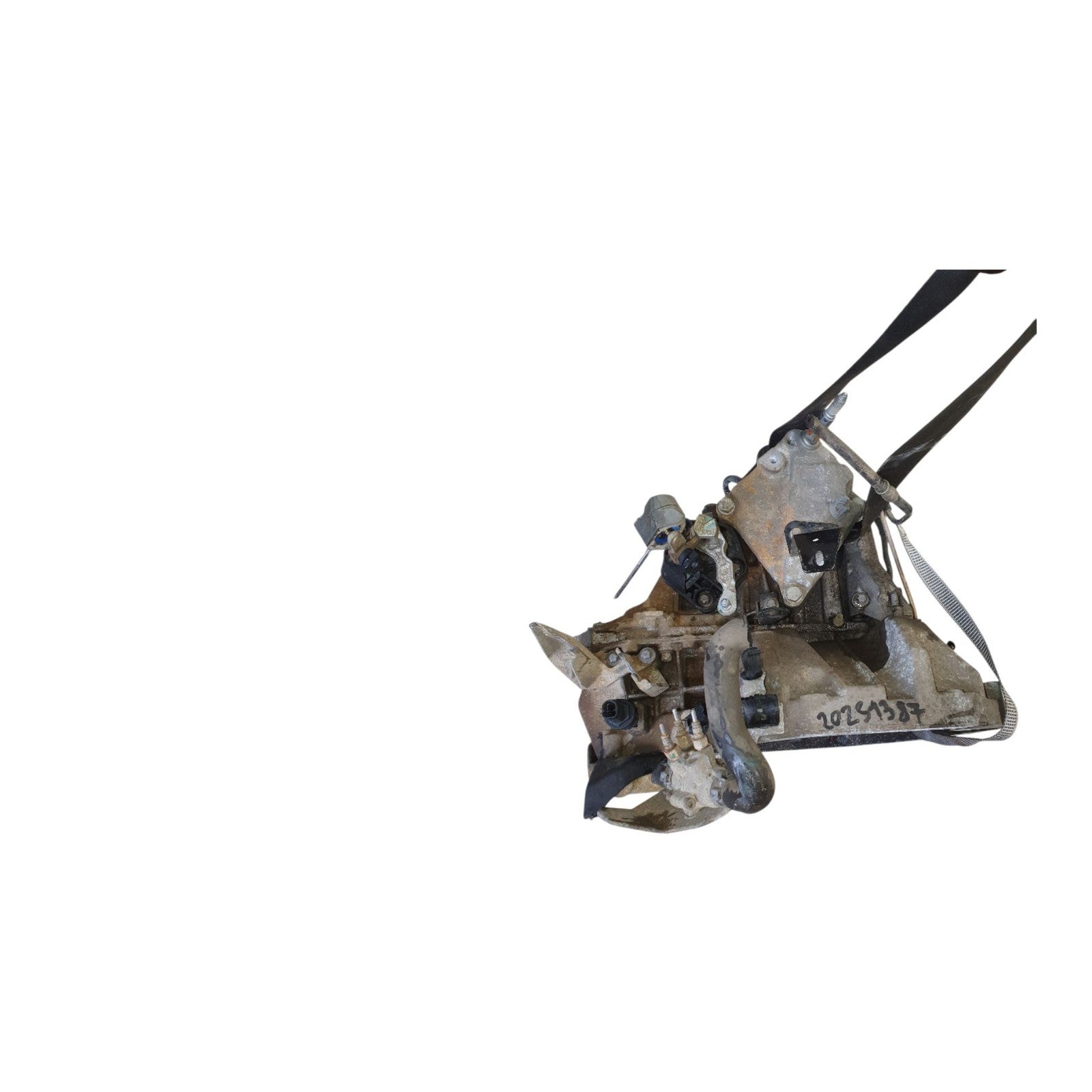 Image #4