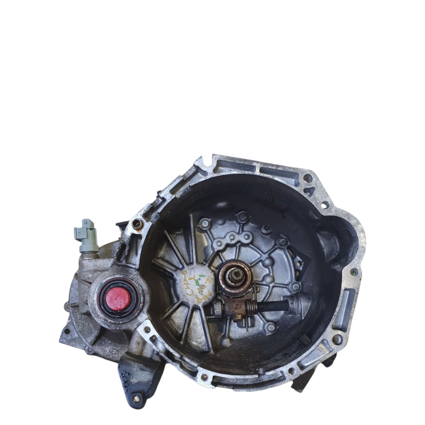 Image #1