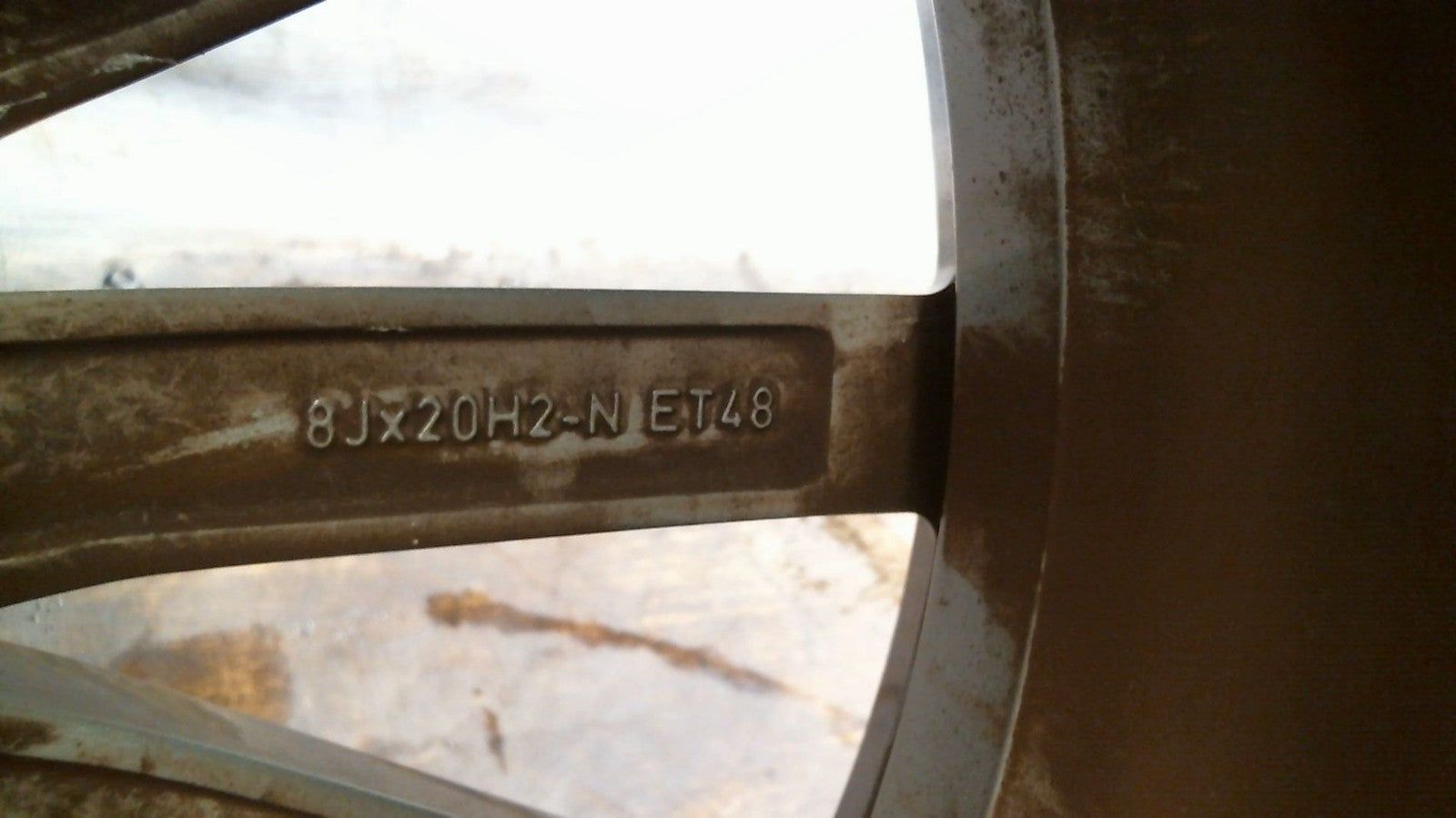 Image #8