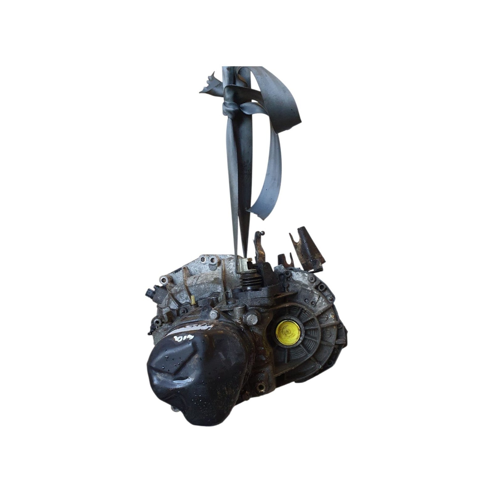 Image #2