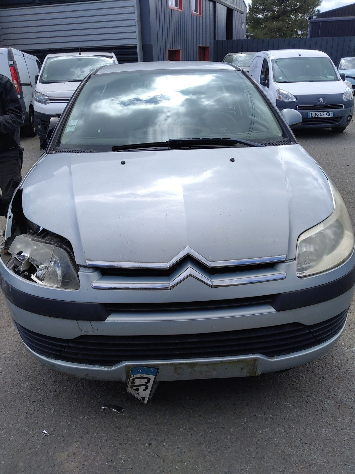 Image #2