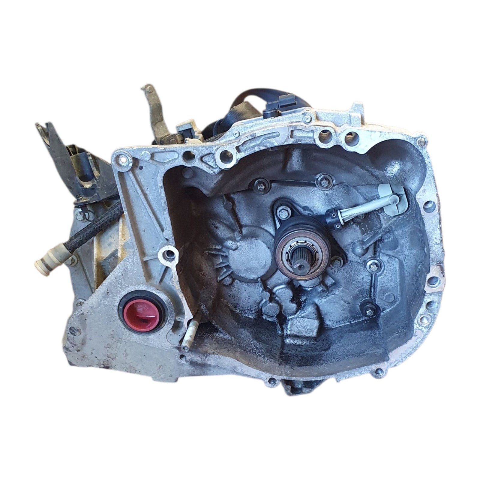 Image #3
