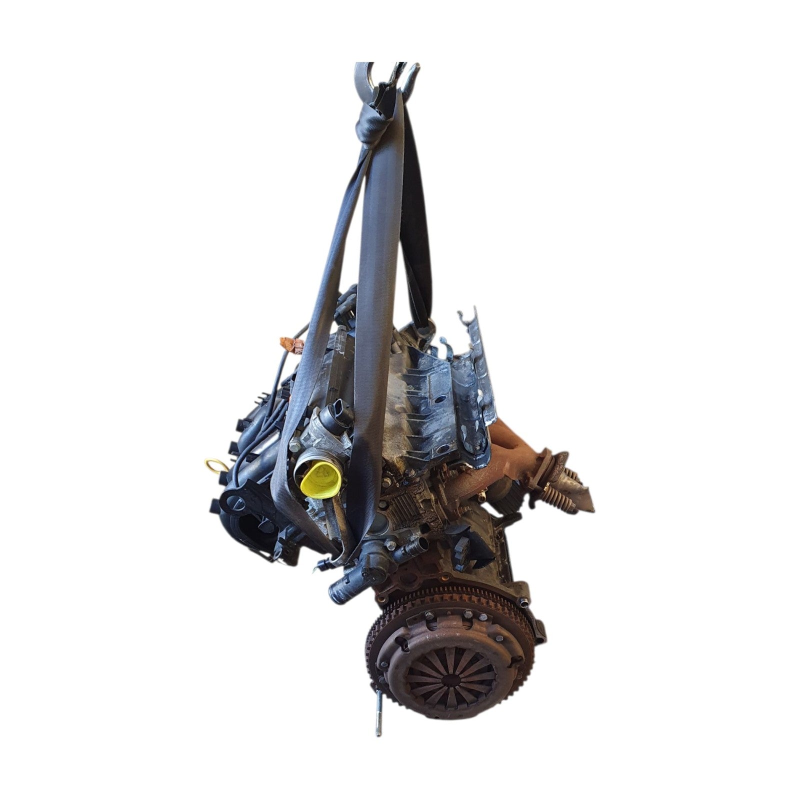 Image #4