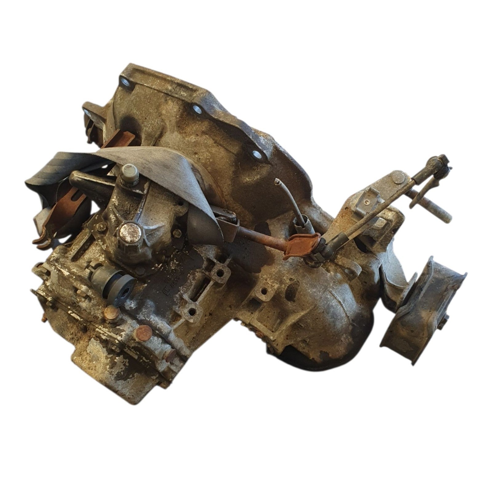 Image #3