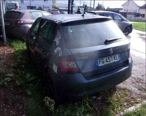 Image #2