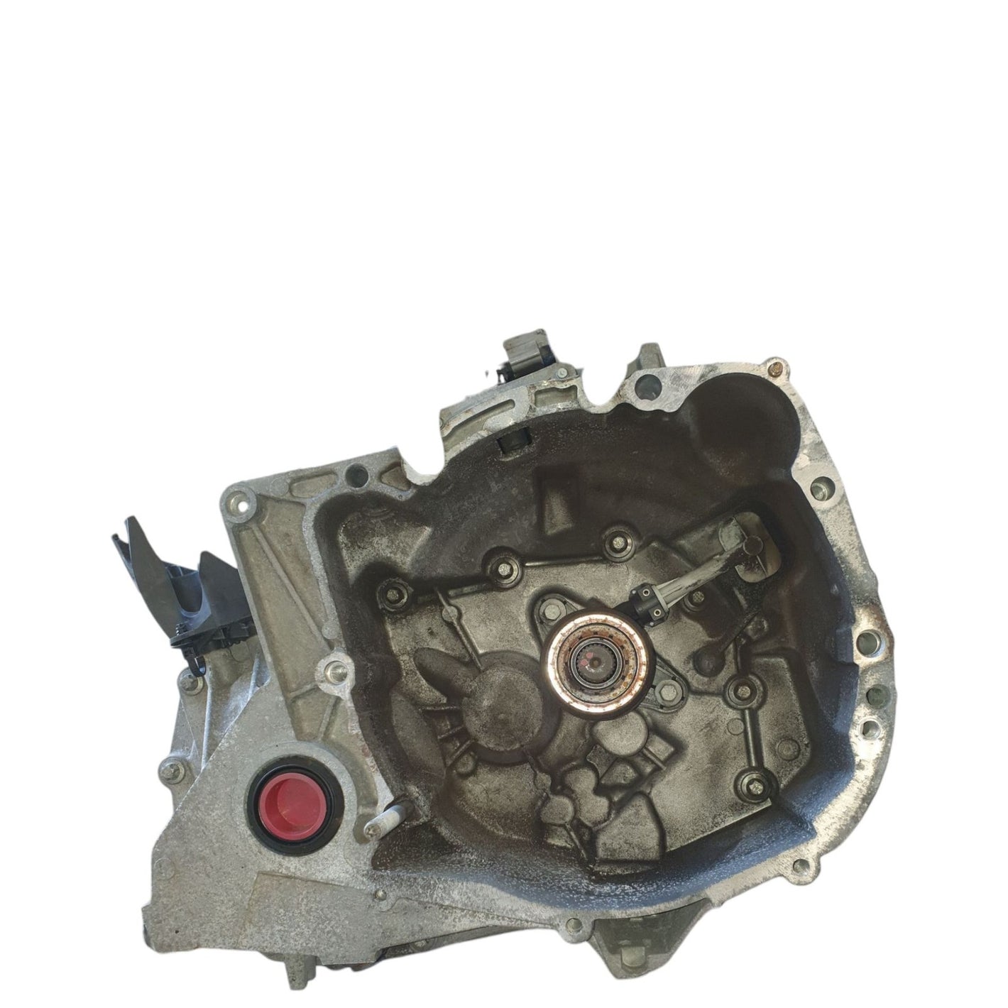 Image #1