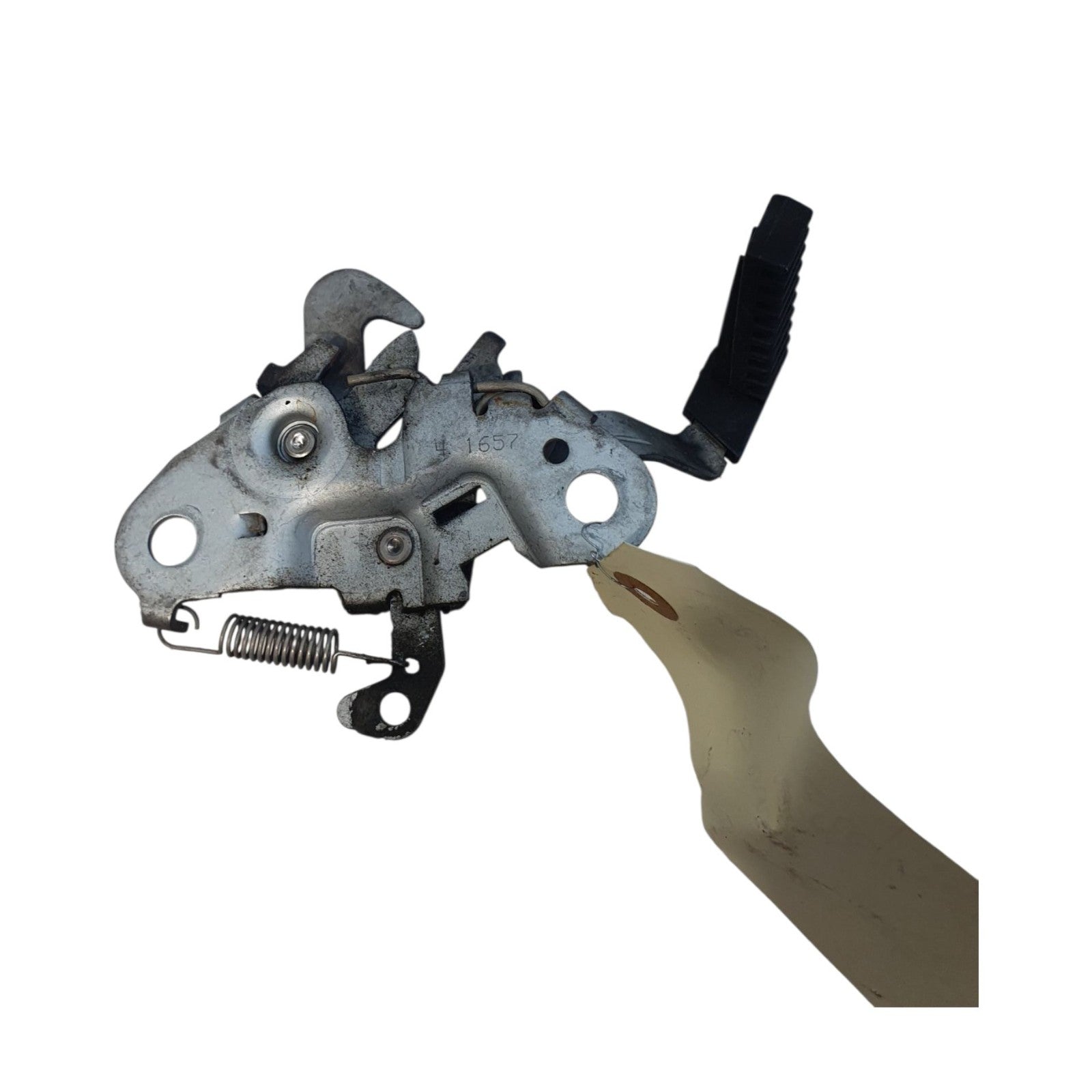 Image #2