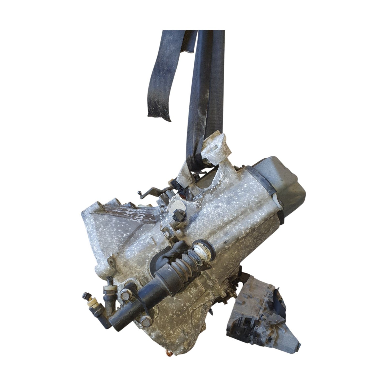 Image #4