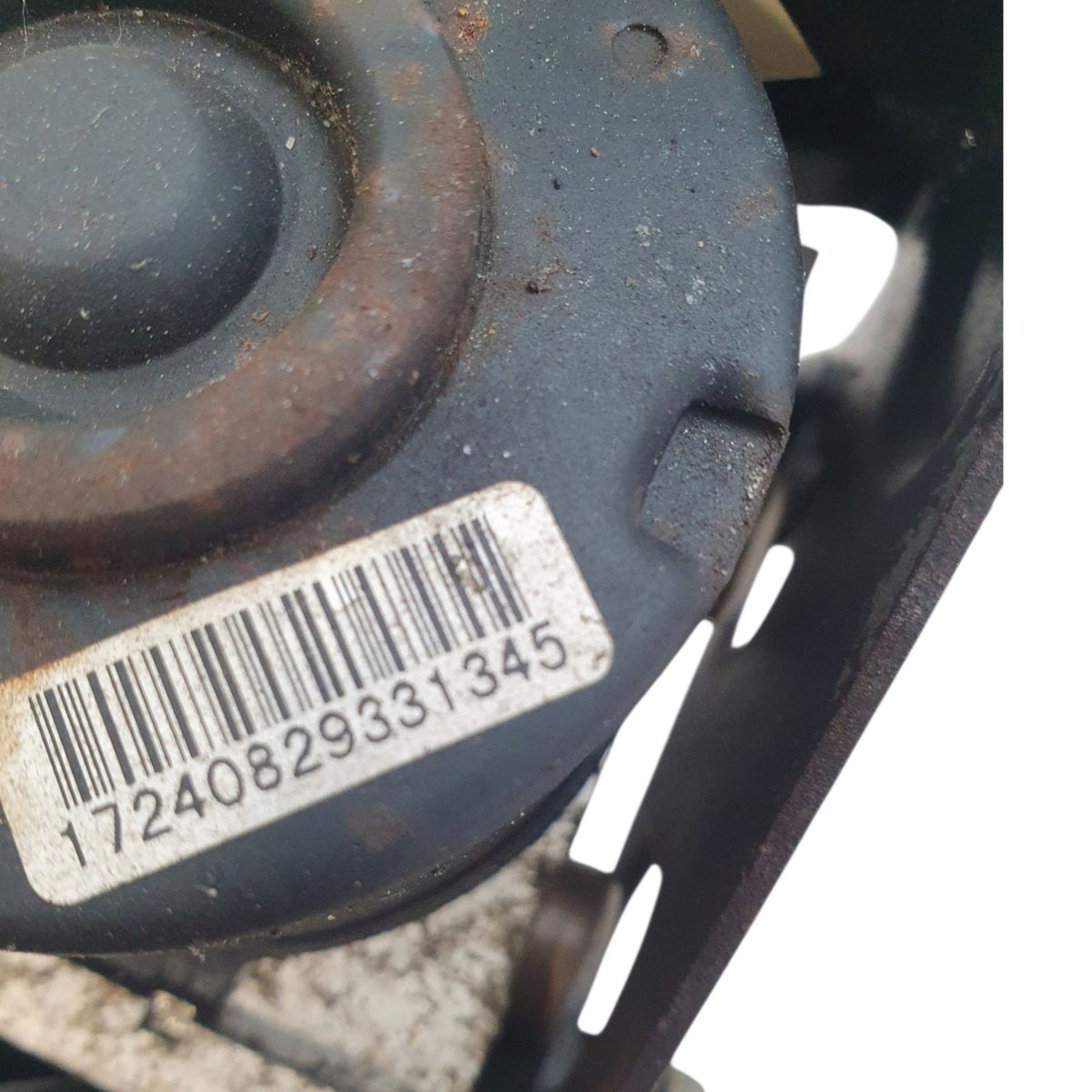 Image #4