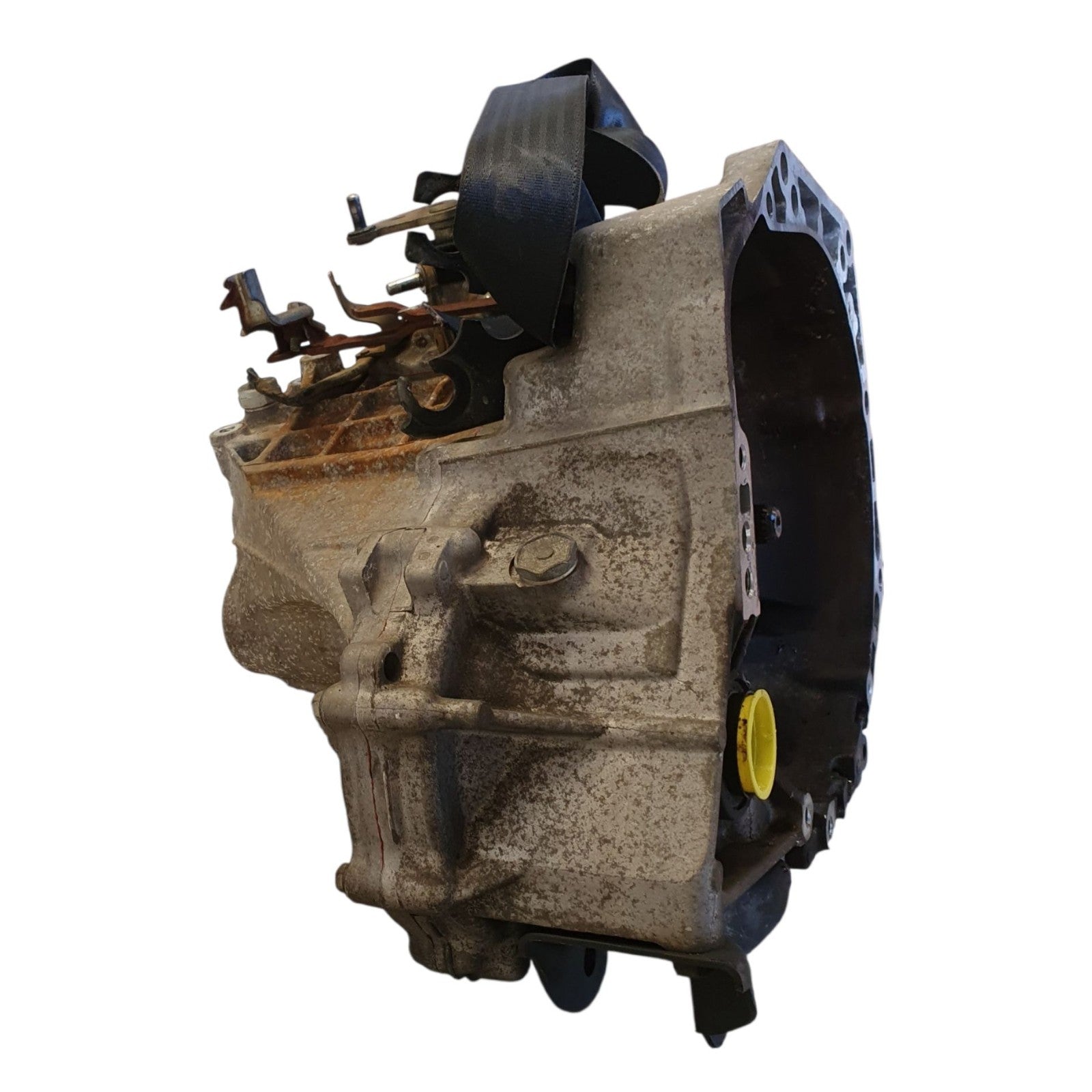 Image #4