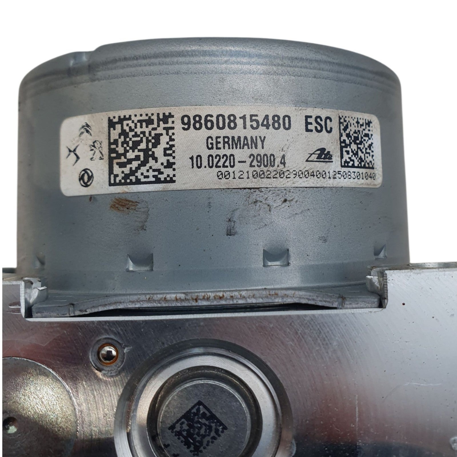 Image #4