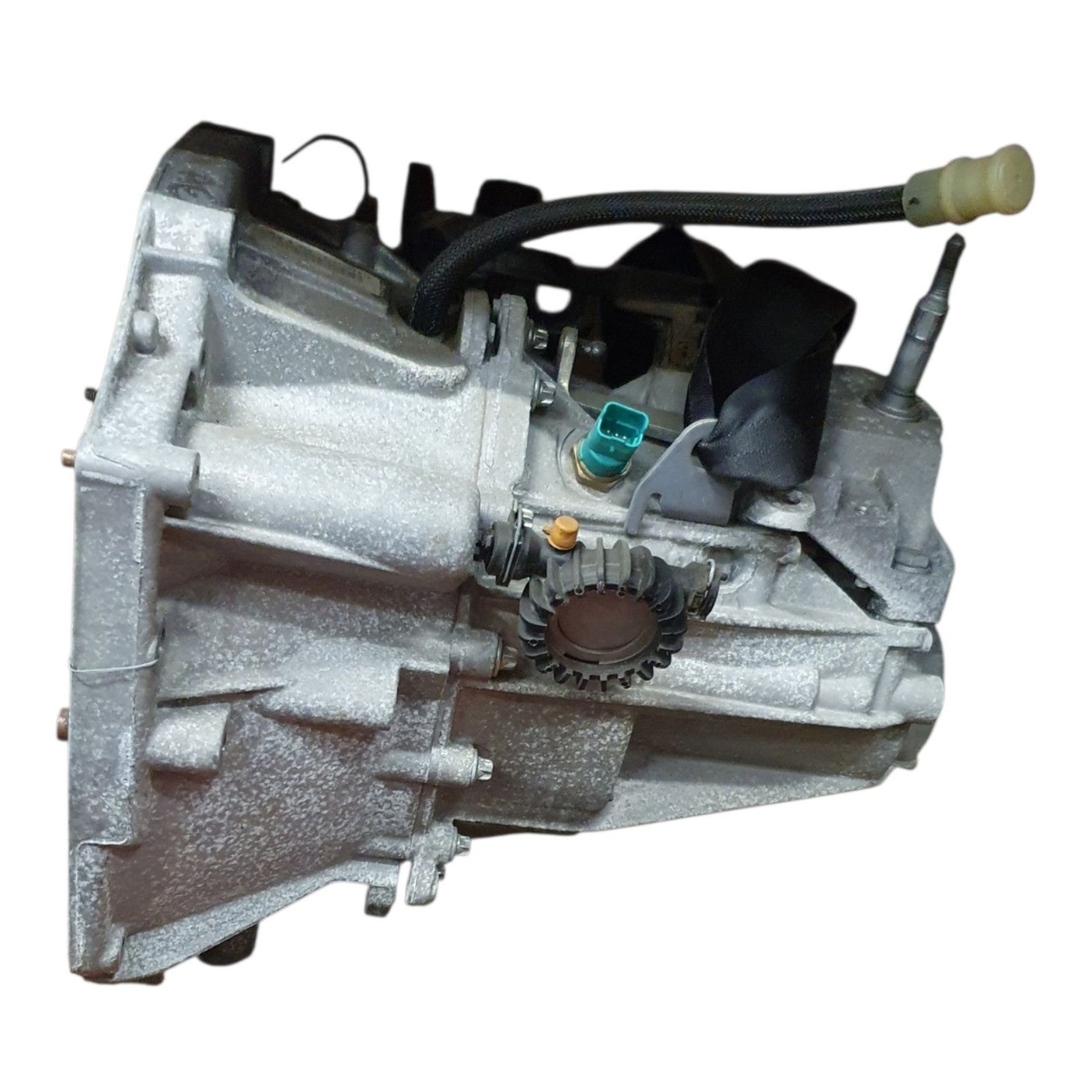 Image #2