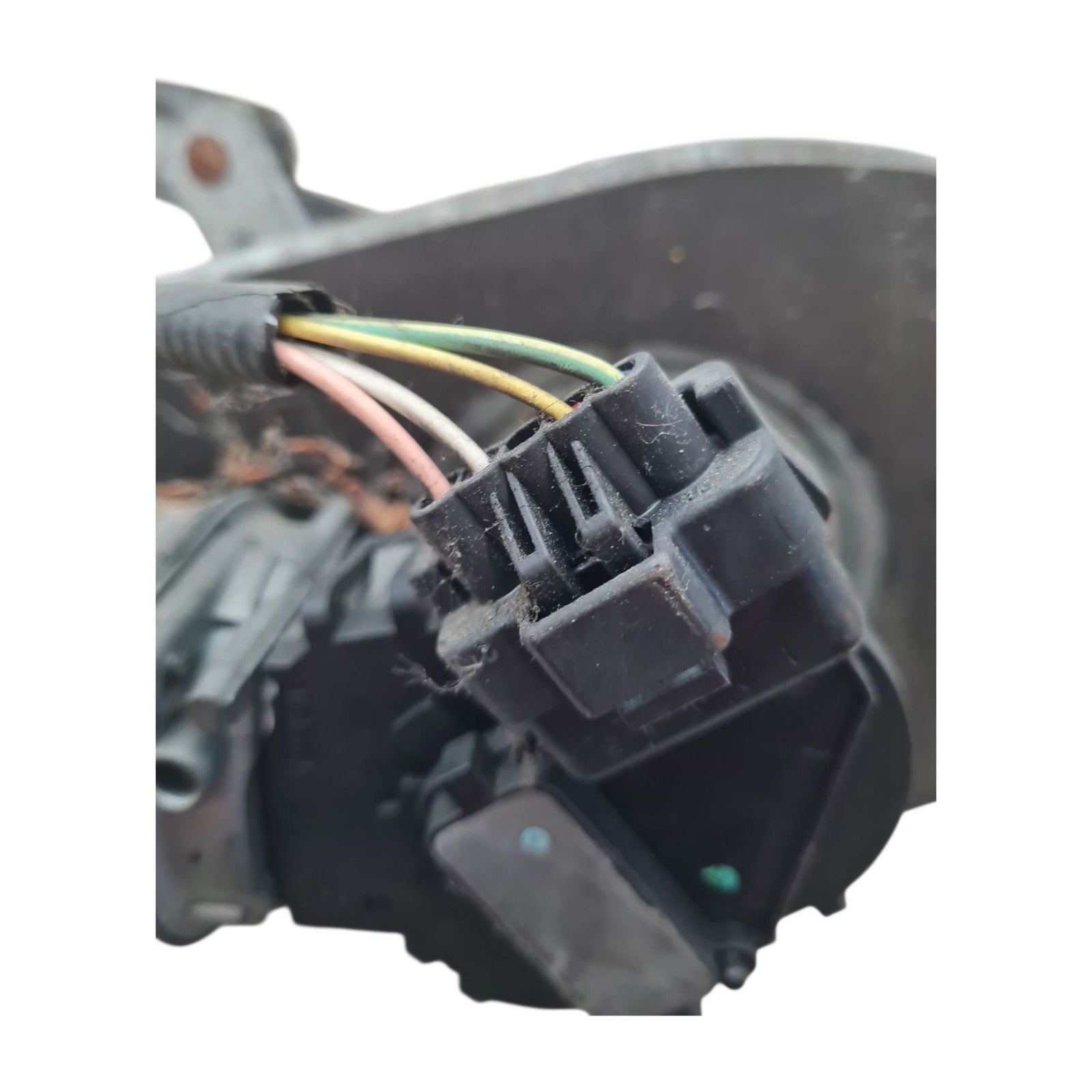 Image #6