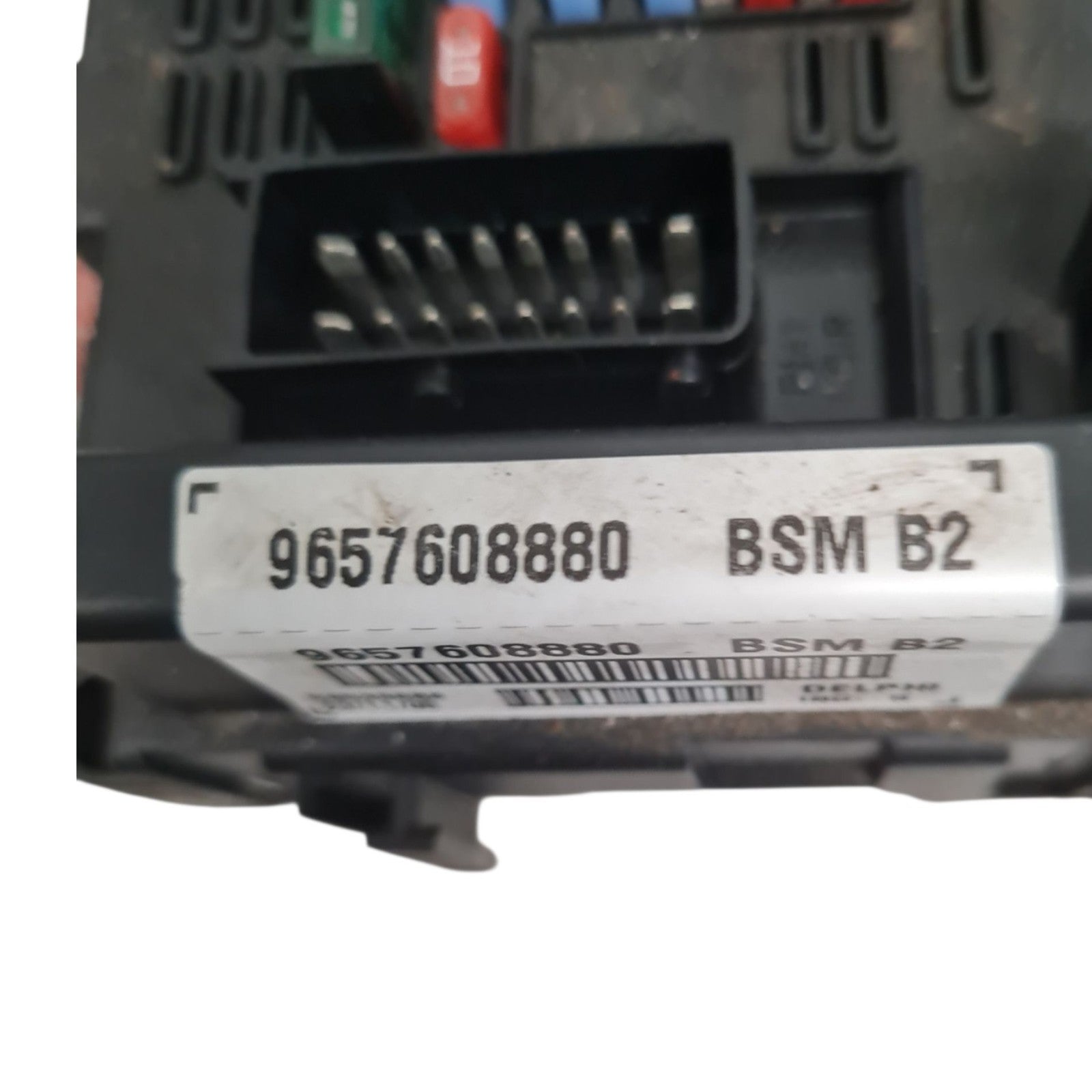 Image #2