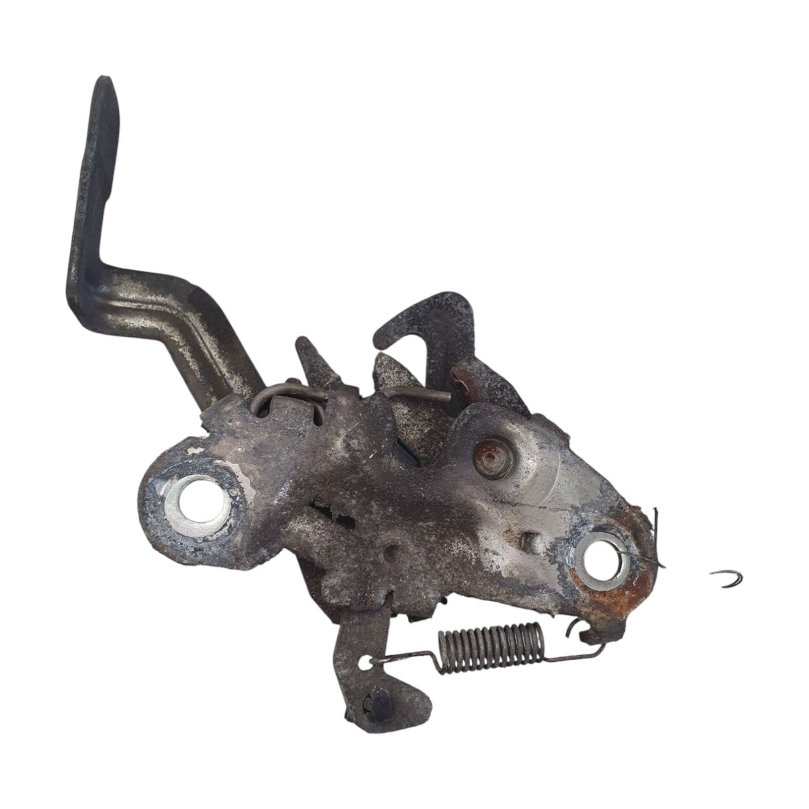 Image #2