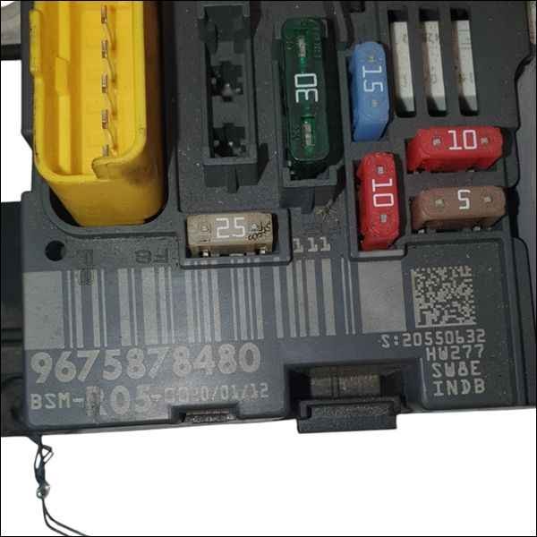 Image #2