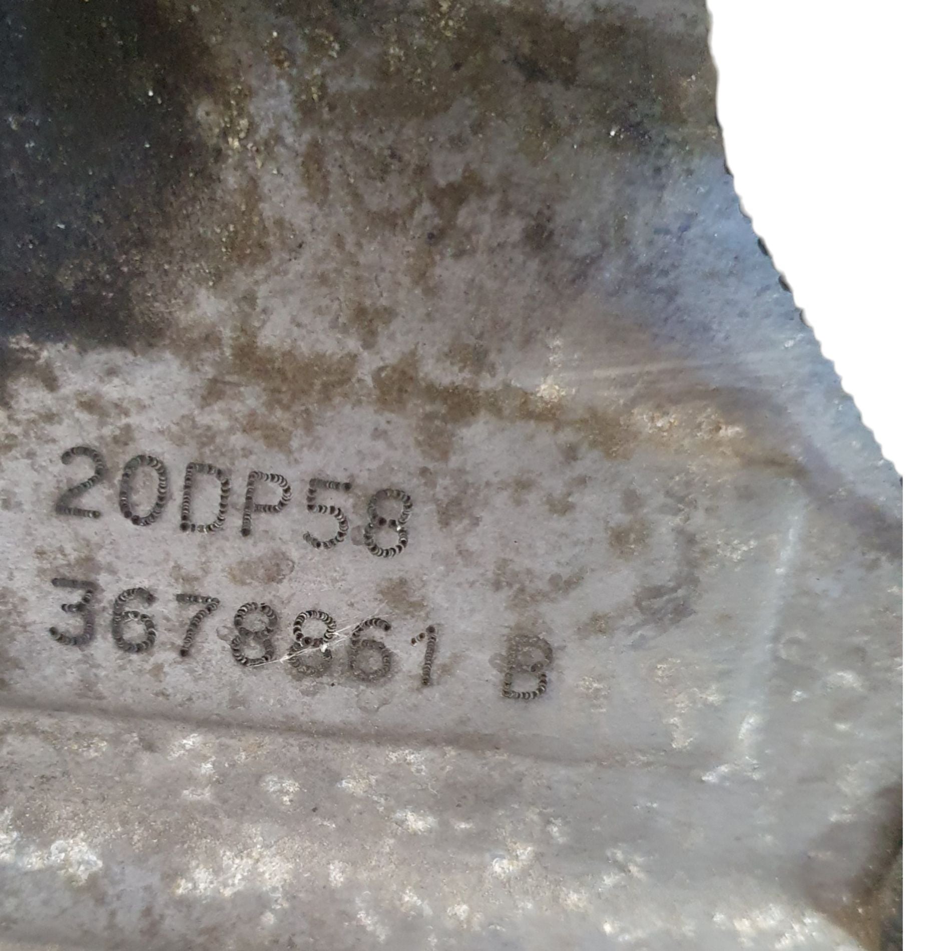 Image #4